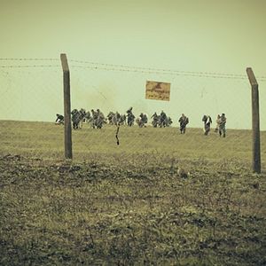 Bilder Kırıntılar