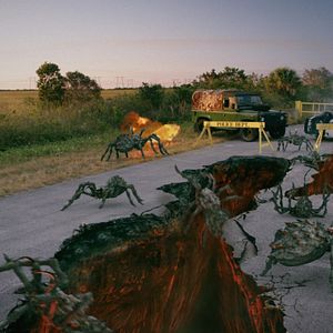 Bilder 2 Lava 2 Lantula!