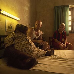 Bilder Anouar Toubali