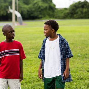 Bilder Alex R. Hibbert