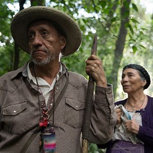 Bilder I Dream In Another Language