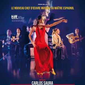 Bilder Jota - Mehr als Flamenco