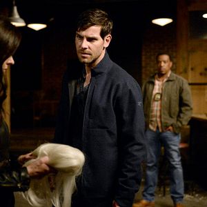 Bilder Elizabeth Tulloch