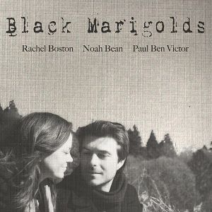 Bilder Black Marigolds