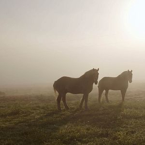 Bilder Look and See: A Portrait of Wendell Berry