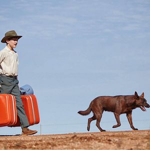 Bilder Red Dog - Mein treuer Freund