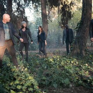 Bilder Katharine Isabelle