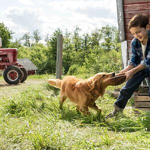 Bilder Bryce Gheisar