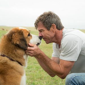 Bilder Dennis Quaid