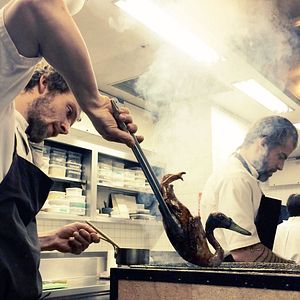 Bilder Ants on a Shrimp