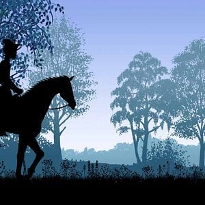 Bilder Prinzessinnen und Drachen