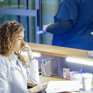 Bilder Rachel DiPillo