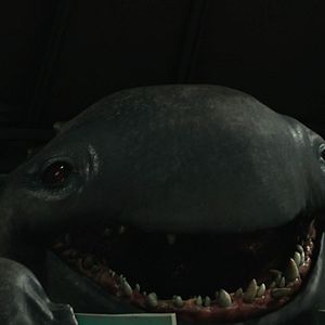 Bilder Monster Trucks