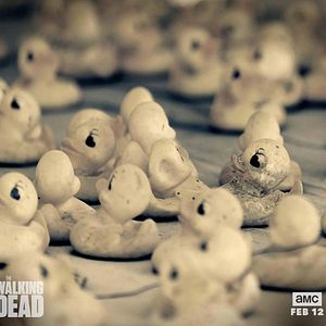Bilder The Walking Dead