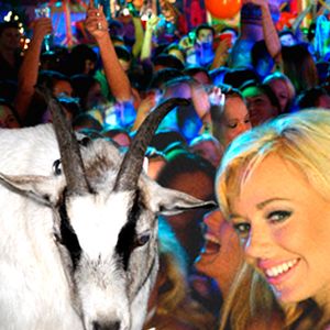 Bilder Blue Mountain State: The Rise Of Thadland