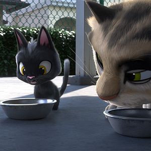 Bilder Rudolf, der schwarze Kater