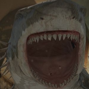 Bilder Sharktopus Vs. Whalewolf