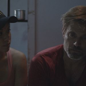 Bilder Sharktopus Vs. Whalewolf