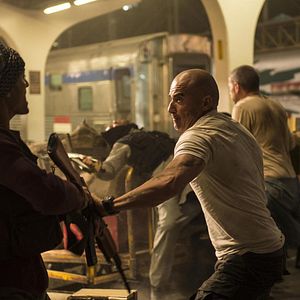 Bilder Dominic Purcell