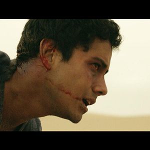 Bilder Gustavo Borjas