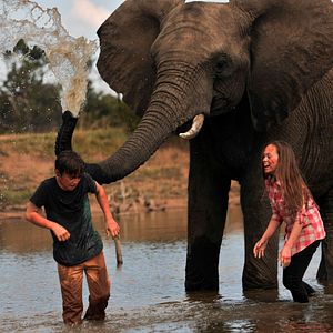 Bilder Kleine Helden, große Wildnis 2 - Abenteuer Serengeti