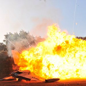 Bilder Kleine Helden, große Wildnis 2 - Abenteuer Serengeti