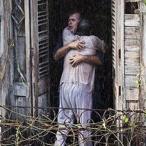 Bilder Patricio Wood