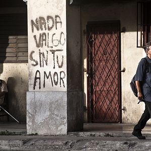 Bilder Patricio Wood