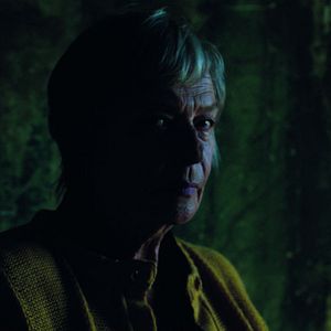 Bilder Catherine Ferran