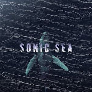 Bilder Sonic Sea