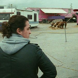 Bilder Mister Universo