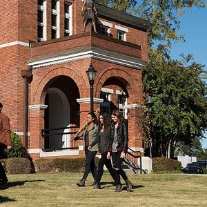 Bilder Lyndie Greenwood