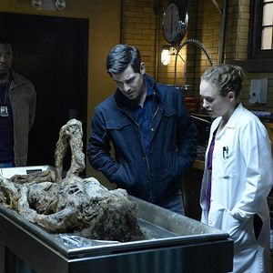 Bilder Dana Millican