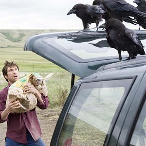 Bilder Dylan McDermott