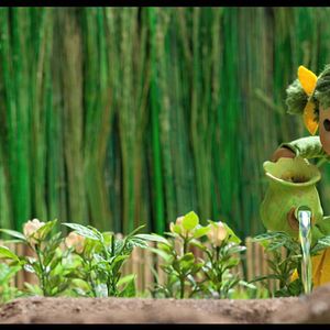 Bilder La Ronde des couleurs