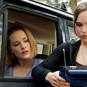 Bilder Into The Forest