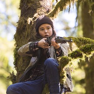 Bilder Into The Forest