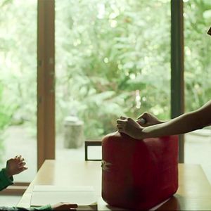 Bilder Into The Forest