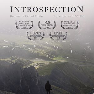 Bilder Introspection