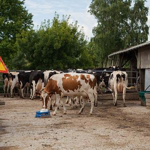 Bilder Les Pieds sur terre