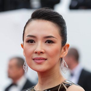 Bilder Ziyi Zhang