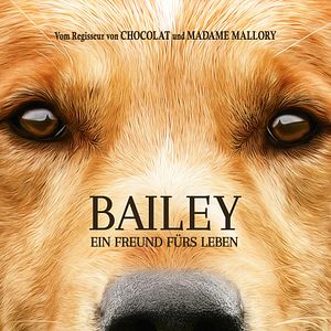 Bilder Bailey - Ein Freund fürs Leben