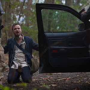 Bilder Annabelle Wallis