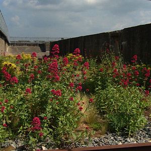 Bilder Gilles Clément, Le Jardin en mouvement