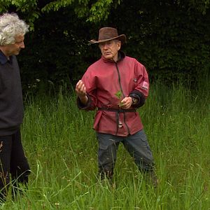 Bilder Gilles Clément, Le Jardin en mouvement