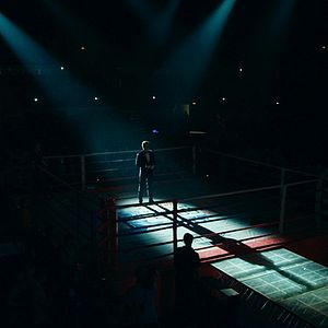 Bilder Versus - The Final Knockout