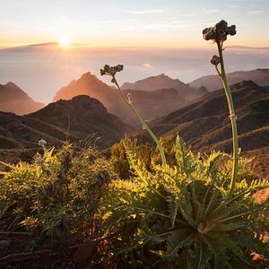 Bilder Die Kanarischen Inseln