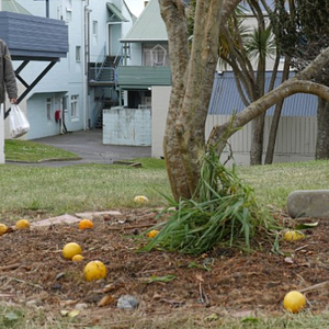 Bilder One Thousand Ropes