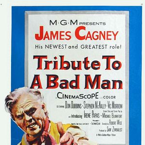 Bilder Jeremy Rodack - Mein Wille ist Gesetz