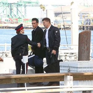 Bilder David Boreanaz